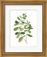 Framed Leafy Stem 2