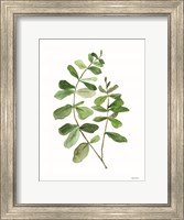 Framed Leafy Stem 2