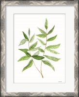 Framed Leafy Stem 3