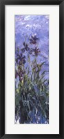 Framed Irises