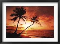 Framed Tropical Sunset