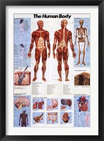 Framed Human Body