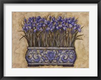 Framed Blue Irises