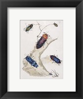 Framed Chelsea Beetles-2 of 3