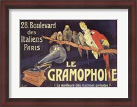 Framed Gramophone