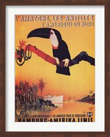 Framed L'Amazone les Antilles