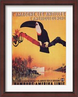 Framed L'Amazone les Antilles