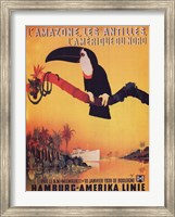Framed L'Amazone les Antilles