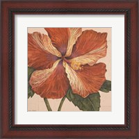 Framed Island Hibiscus I