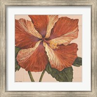 Framed Island Hibiscus I