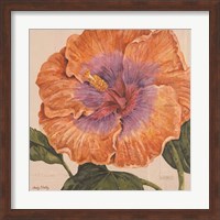 Framed Island Hibiscus II