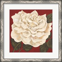 Framed Rosa Blanca Grande I