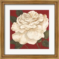 Framed Rosa Blanca Grande II