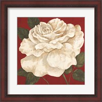 Framed Rosa Blanca Grande II