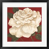 Framed Rosa Blanca Grande II