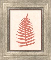 Framed 'Silhouette In Coral I' border=