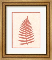 Framed Silhouette In Coral I