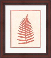 Framed 'Silhouette In Coral I' border=