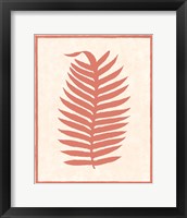 Framed 'Silhouette In Coral II' border=