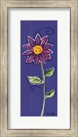 Framed Purple Daisy