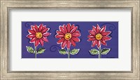 Framed 3 Pink Daisies