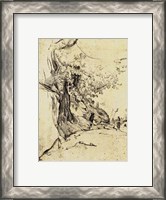 Framed Sepia Tree Study