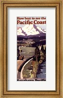 Framed Pacific Coast II