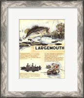 Framed Large Mouth