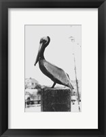 Framed Pelican Perch