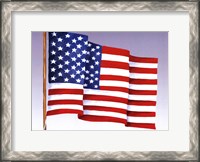 Framed American Flag (H)
