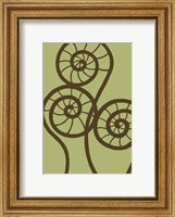 Framed Dichromatic Fiddleheads II