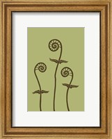 Framed Dichromatic Fiddleheads III