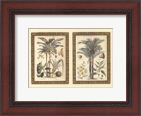 Framed Mini Palms in Rattan
