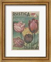 Framed Plantez Des Tulips
