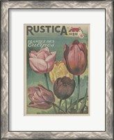 Framed Plantez Des Tulips