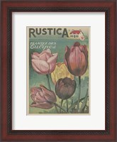 Framed Plantez Des Tulips