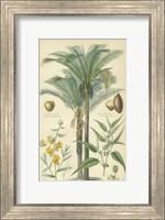 Framed Palms in Bamboo I