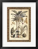 Framed Palms in Bamboo II