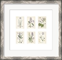 Framed Purple Botanicals