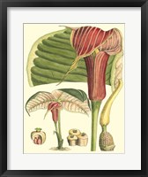 Framed Botanical Fantasy II