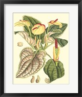 Framed Botanical Fantasy III