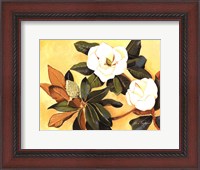 Framed Southern Magnolia I