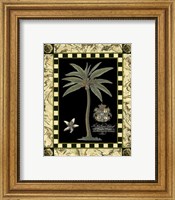 Framed Bordered Palms on Black I