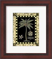 Framed Bordered Palms on Black I