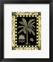 Framed Bordered Palms on Black II