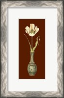 Framed Tulip in Vase III