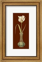 Framed Tulip in Vase IV