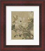 Framed Magnolia and Butterfly
