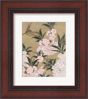 Framed Cherry Blossoms and Dragonfly
