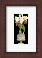 Framed Orchids in Silver I